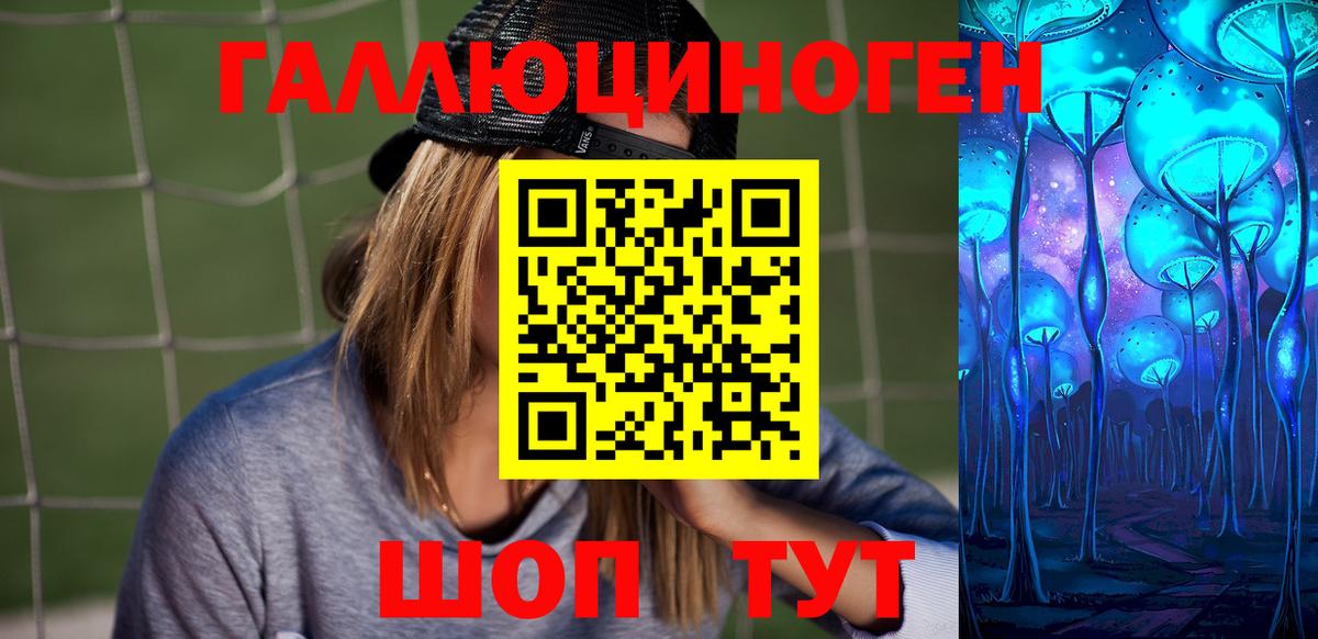 Псилоцибиновые грибы Cubensis  Вход с VPN  Солнечногорск 